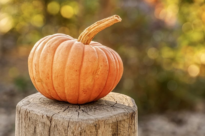Seasonal Harvesting